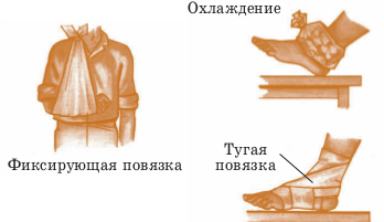 pic53.png