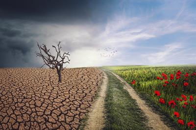 landscape-g215a74568_1920.jpg