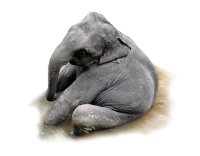 slon-17-320.png