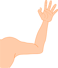 552888.png
