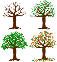 seasons-of-the-year-1994663_960_720.png