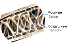 4 (67).png