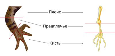 5 (50).png