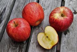 apple.jpg
