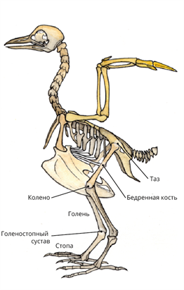 3 (72).png