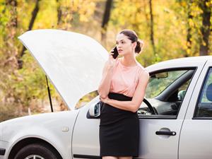 shutterstock_525719149.jpg