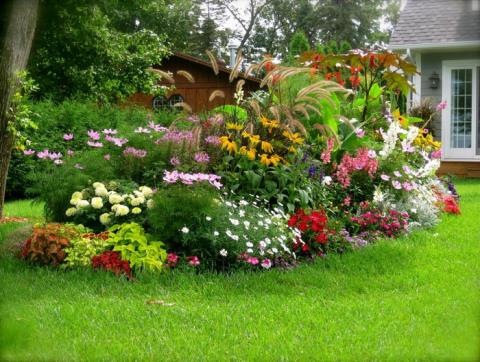 small-house-flower-garden-kkxzbru6.jpg