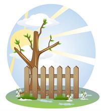 background-163530_960_720.jpg