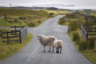 road-g9af6083ec_1920.jpg