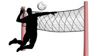 volleyball-1435198_960_720.jpg