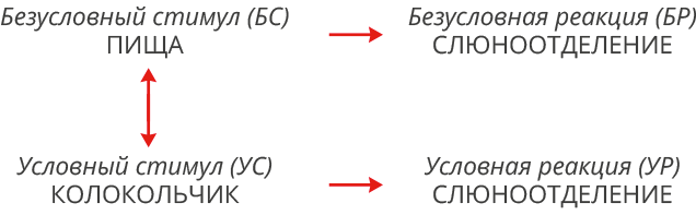 image007-(2).png