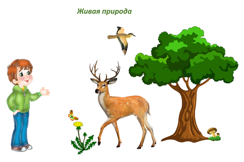 Живая природа.png
