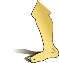 438766.png