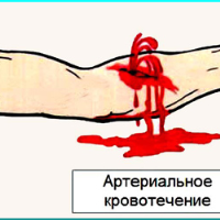 1439045084_142228.docx_html_11577a0d.png