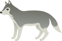 143886.png