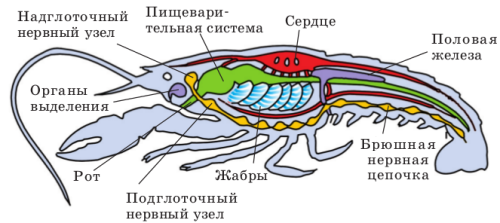 рис111.png