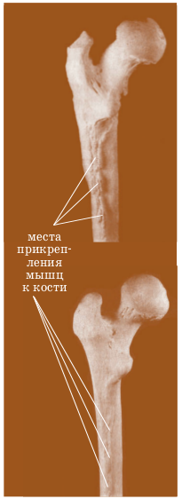 pic61.png