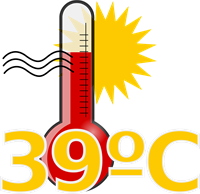 fever-1300516_1280.png