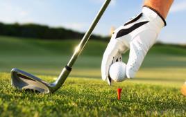 Golf-7.jpg