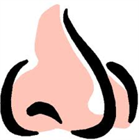 107039.png