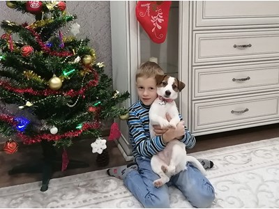 Роман Шиманский