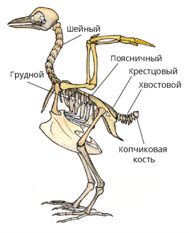 1 (83).png