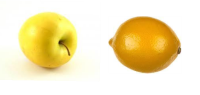 ris27.png
