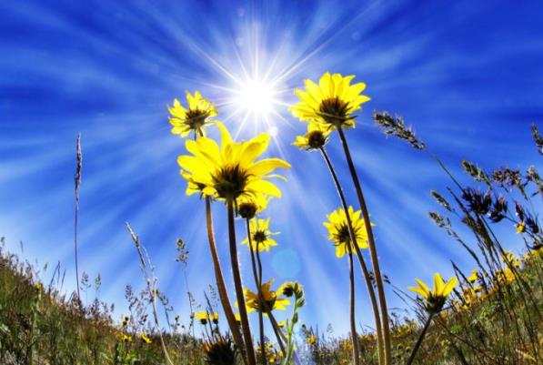 635917212236923915842672207_warmweatherlead.jpg