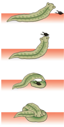 pic57.png