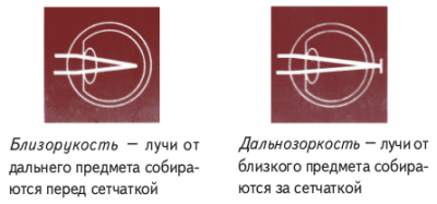 pic135a.png