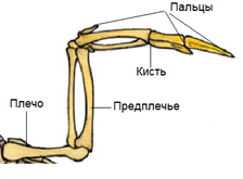 3 (72) — копия.png