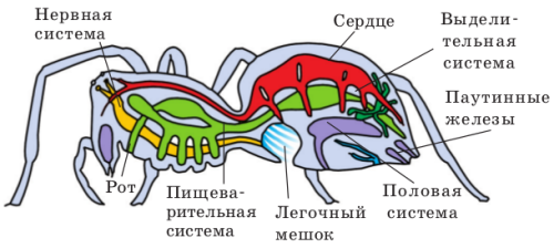 pic112.png