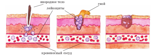 pic68.png