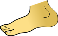 foot-hi.png
