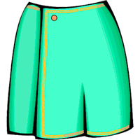 Skirt_2.png