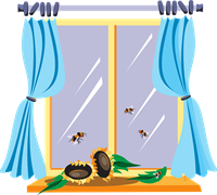 window-45787_960_720.png