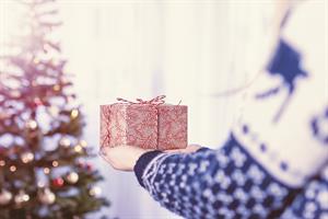 christmas-2980687_960_720.jpg