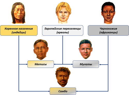 Расы.png
