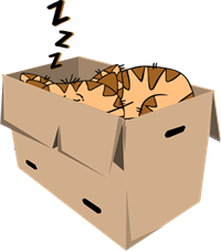 cat-308738_960_720.png