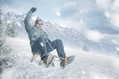 сани.jpg