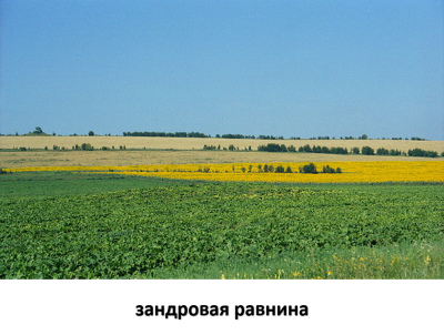Зандровая равнина 2.png