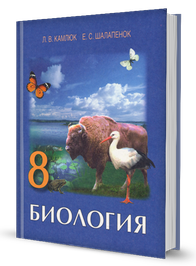 8.png