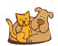 friends-1295970_960_720.png