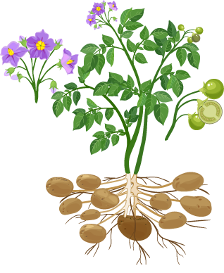 3 (19).png