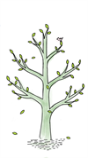 spring-3302319_960_720.png