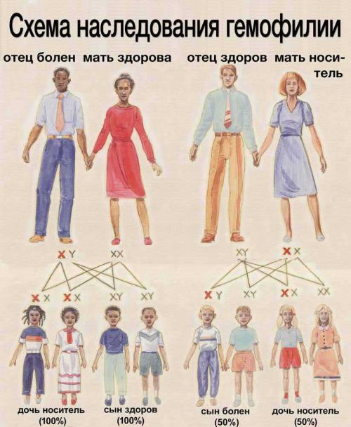 1392214945_naslhem.jpg