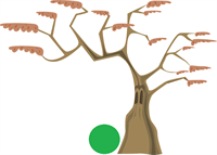 tree-576871_960_720.png